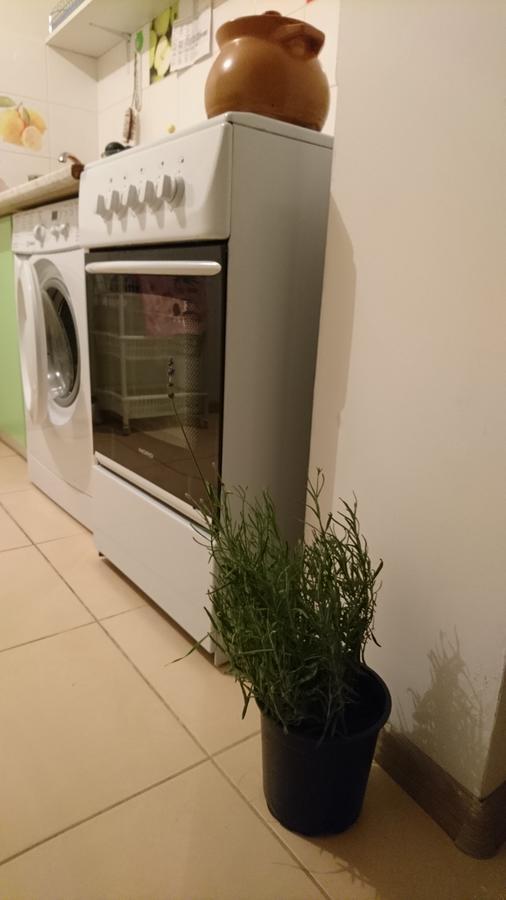 Comfortable Apartment On The River Bank كييف المظهر الخارجي الصورة